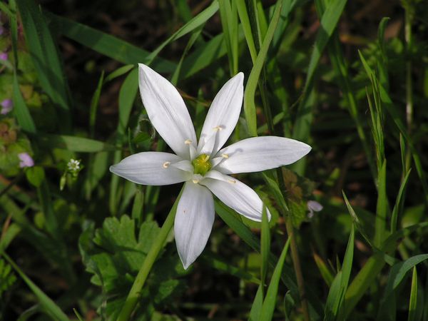PICT0041