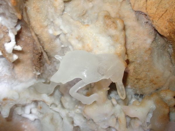 DSC07591