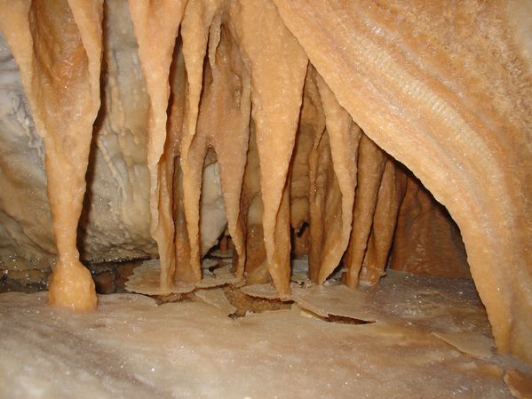DSC07596