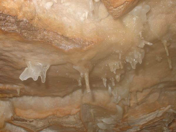 DSC07533