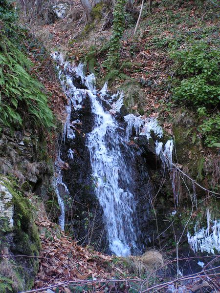 PICT0046-copie-1