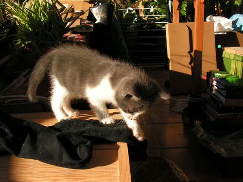 PICT0003