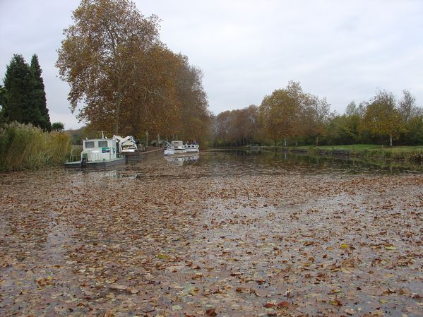 DSC07151