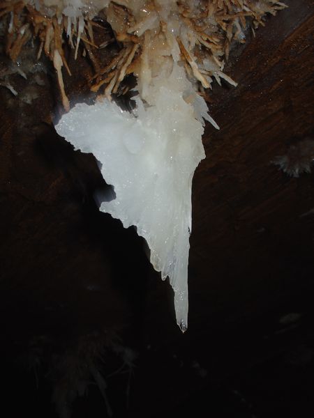 DSC07020