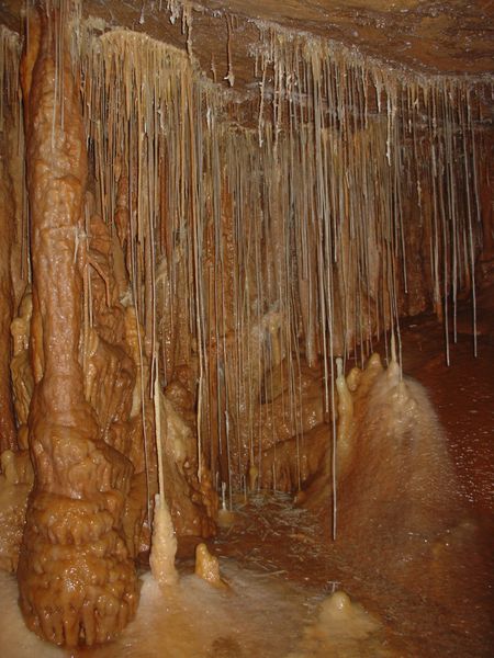 DSC06966