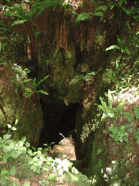 DSC06585
