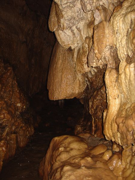 DSC06588