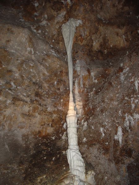 DSC06440