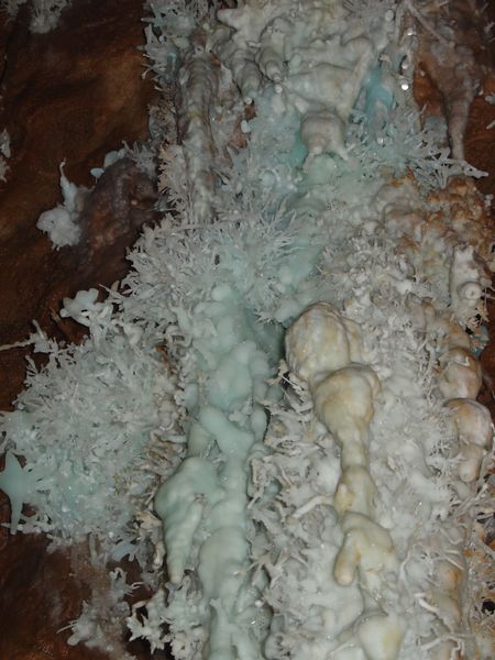 DSC06466