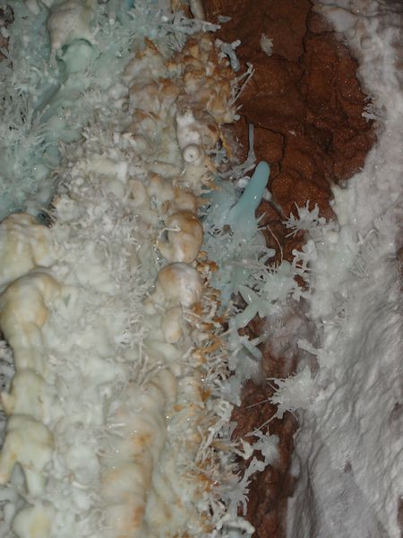 DSC06470