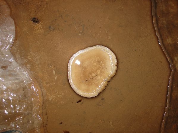 DSC06425