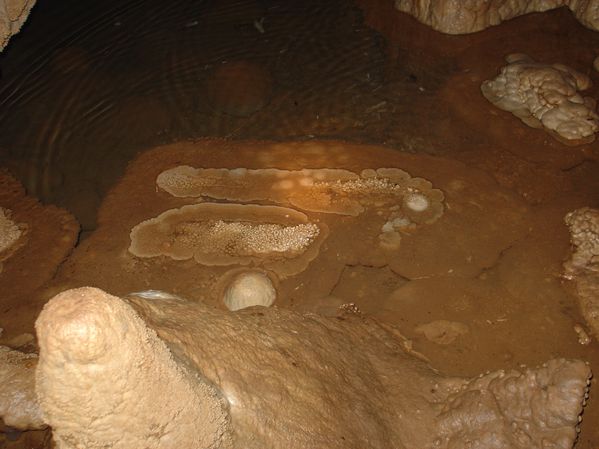 DSC06398