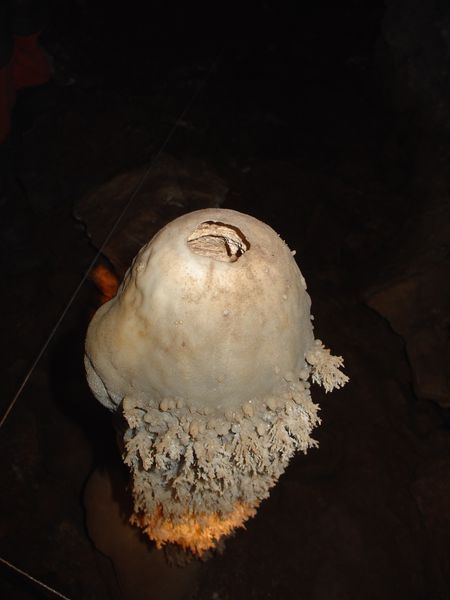 DSC06410