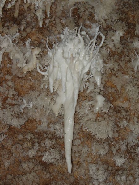 DSC06424