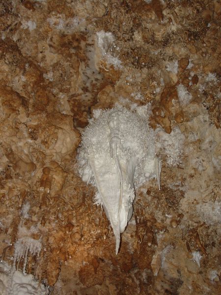 DSC06422