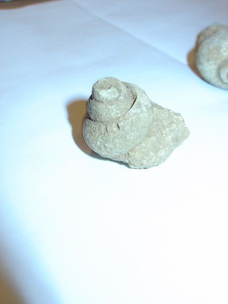 DSC06116