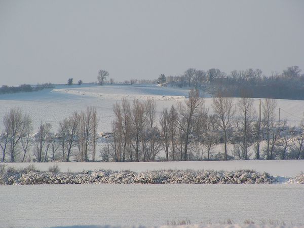 Hier, champs sous la neige…