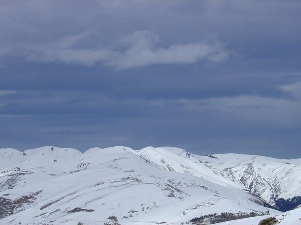 DSC05997