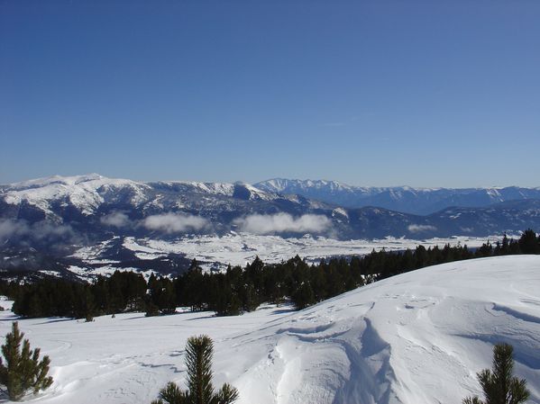 DSC05949