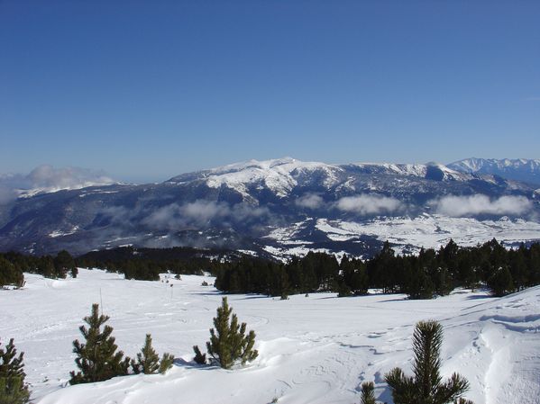 DSC05950
