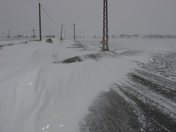 DSC05931