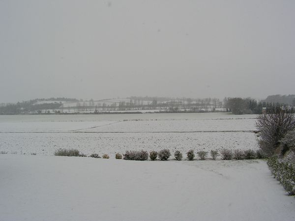Sous la neige!