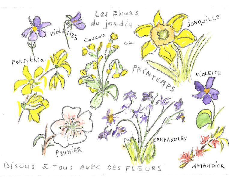 les fleurs vues par mamie