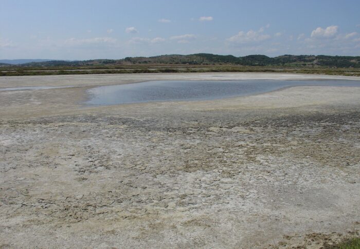 Les salins de gruissan