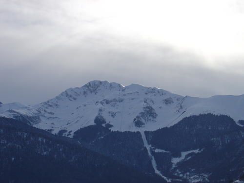 Raquettes en neige vierge