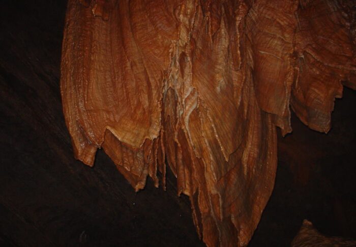 Première sortie spéléo à la grotte de Cabrespine