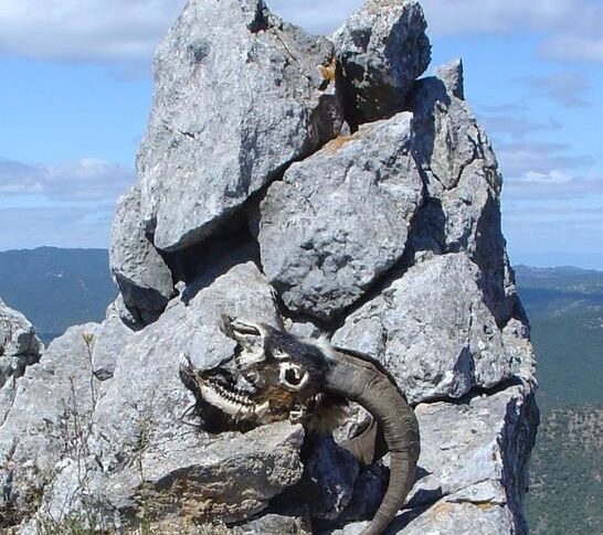 La quille des Cathares