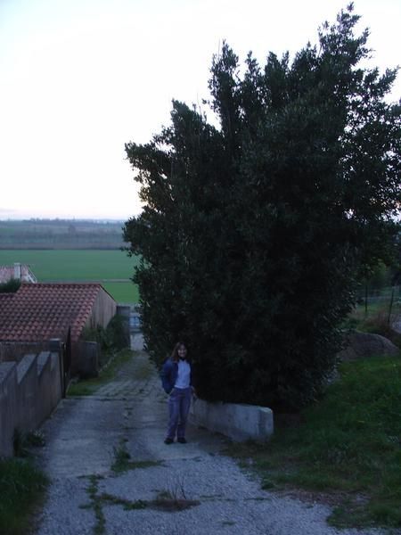 DSC04667.jpg