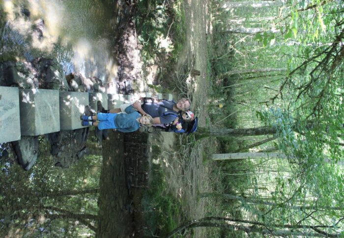 Le bois de Mixé