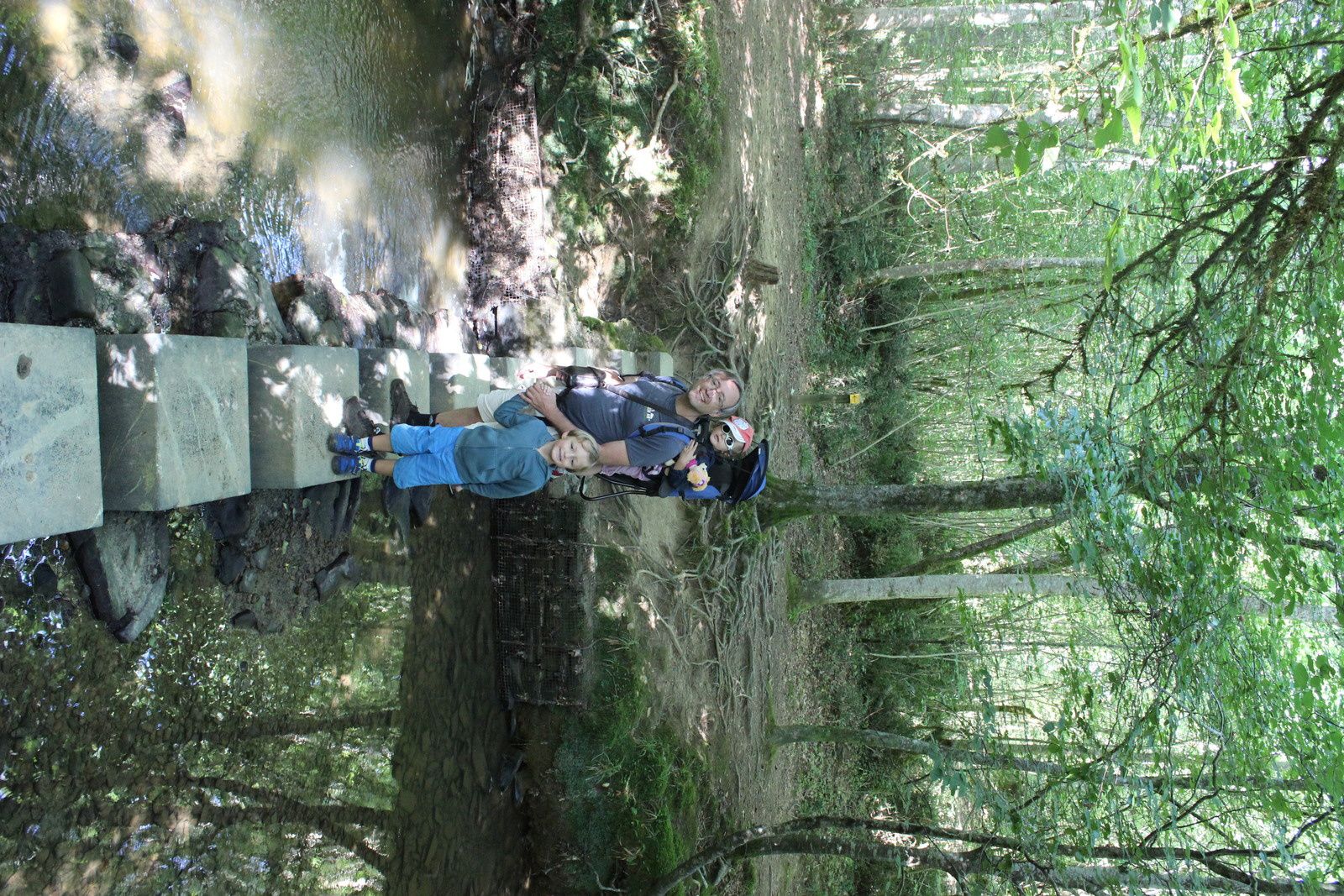 Le bois de Mixé