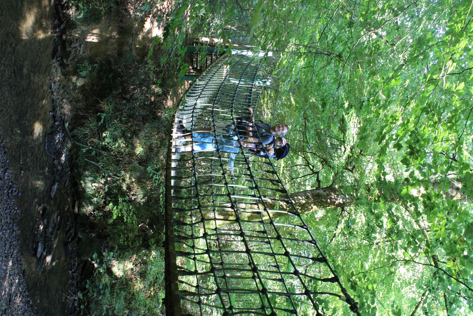 Le bois de Mixé