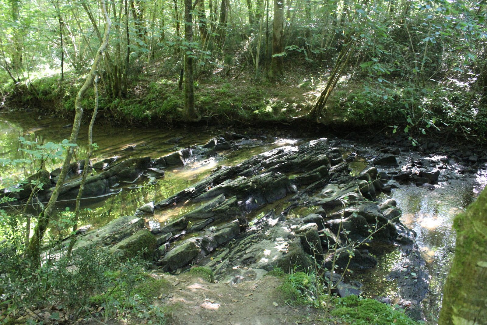 Le bois de Mixé