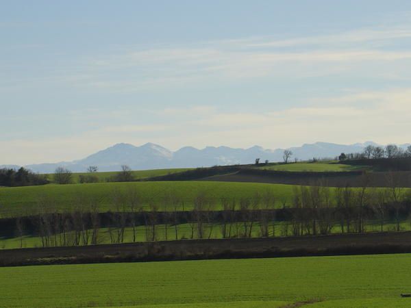 Profitez du paysage