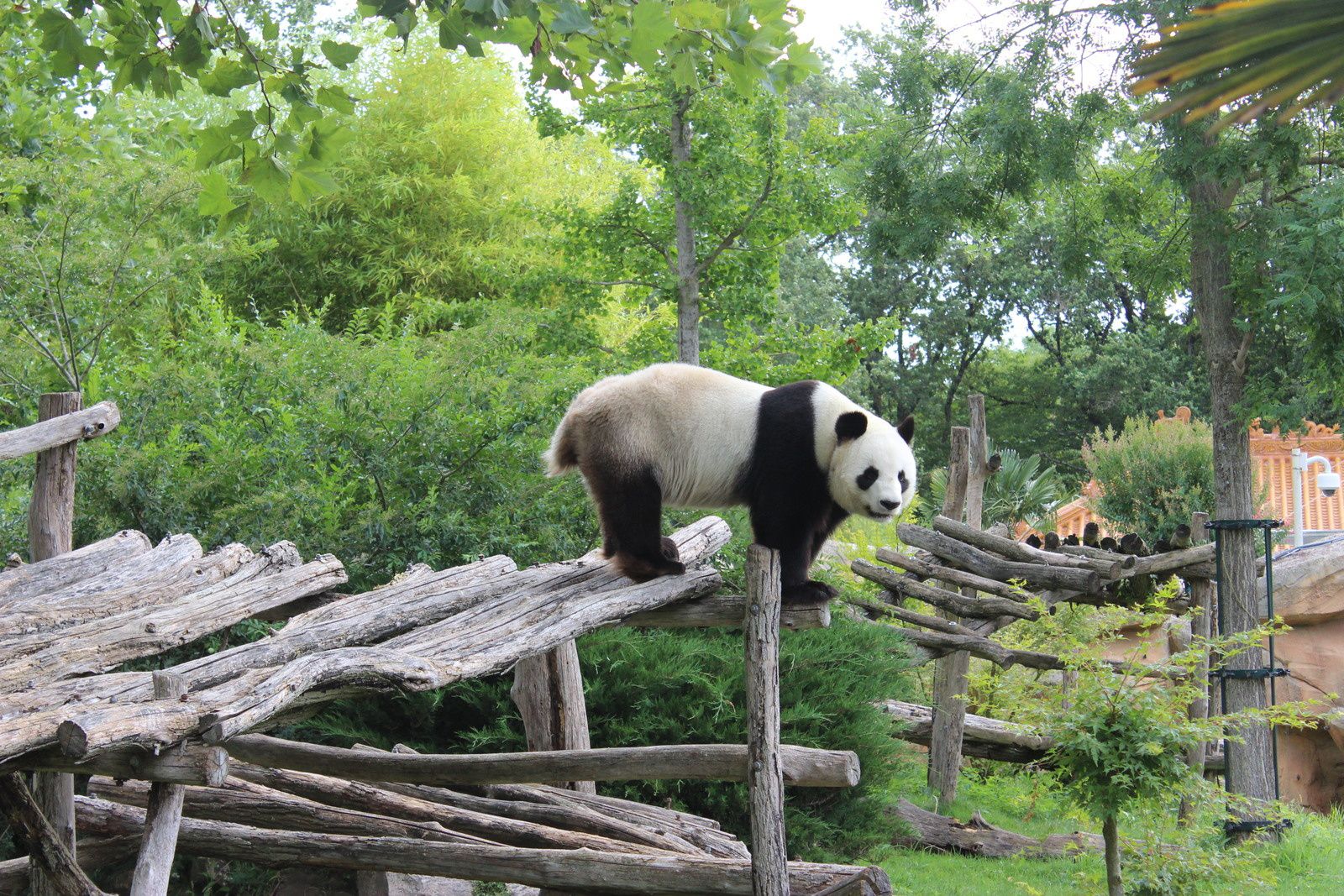 Zoo de Beauval