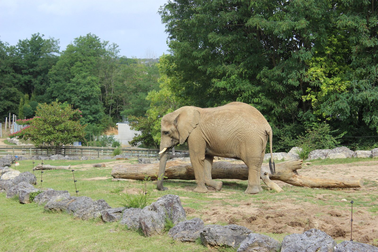 Zoo de Beauval