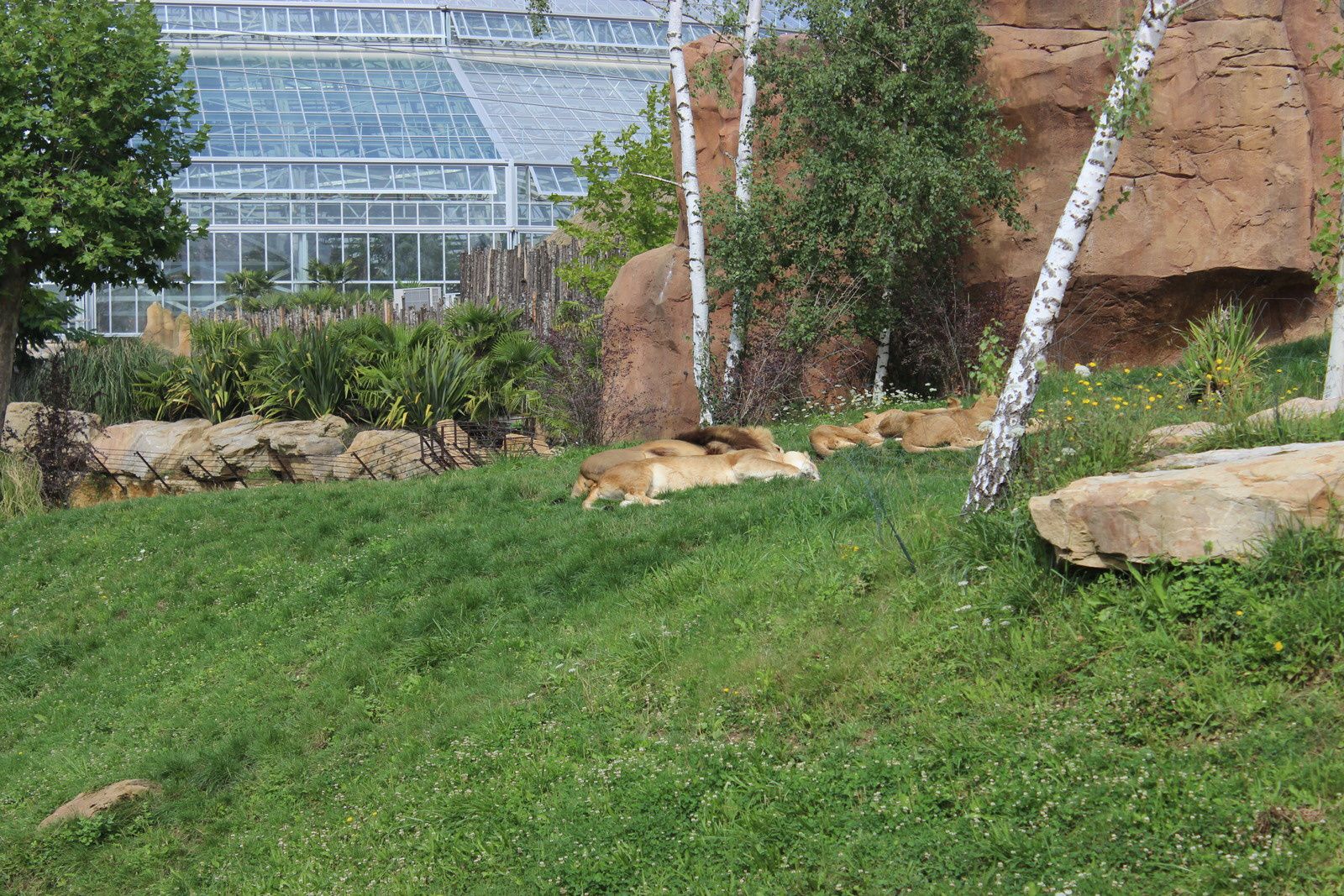 Zoo de Beauval