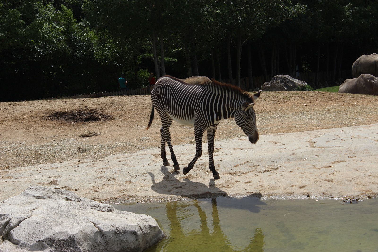 Zoo de Beauval